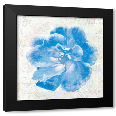 Floral Travel Black Modern Wood Framed Art Print by Lewis, Sheldon
