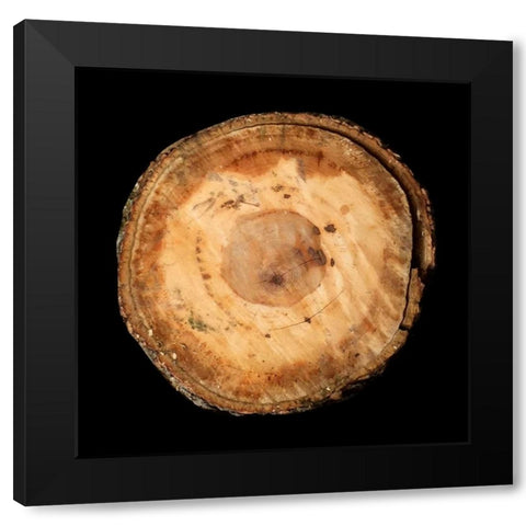 Dark Rings Of Ages Black Modern Wood Framed Art Print by Lewis, Sheldon