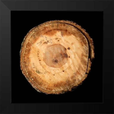 Dark Rings Of Ages Black Modern Wood Framed Art Print by Lewis, Sheldon