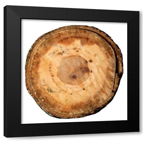 Earthy Rings Of Ages Black Modern Wood Framed Art Print by Lewis, Sheldon