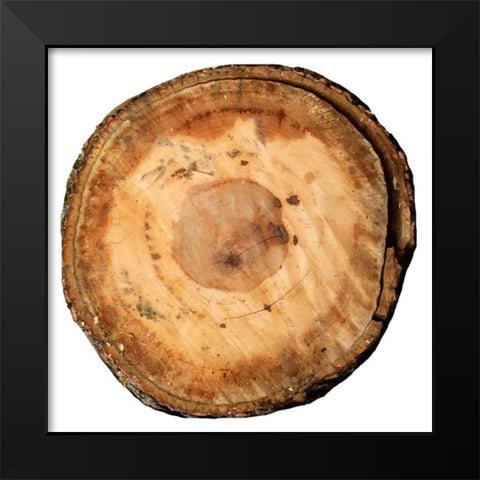 Earthy Rings Of Ages Black Modern Wood Framed Art Print by Lewis, Sheldon