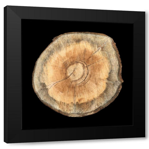 Dark Rings Of Ages 2 Black Modern Wood Framed Art Print by Lewis, Sheldon