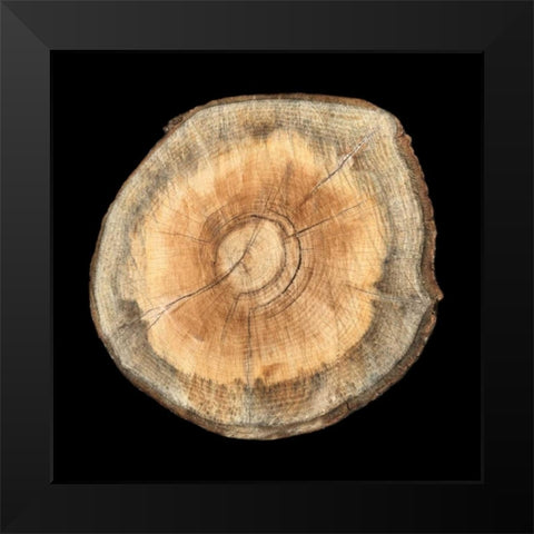 Dark Rings Of Ages 2 Black Modern Wood Framed Art Print by Lewis, Sheldon