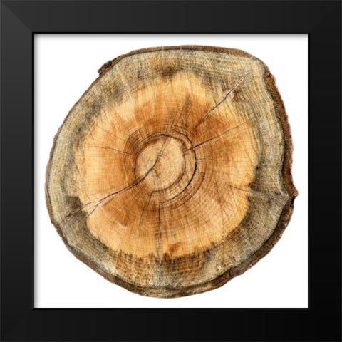 Earthy Rings Of Ages 2 Black Modern Wood Framed Art Print by Lewis, Sheldon