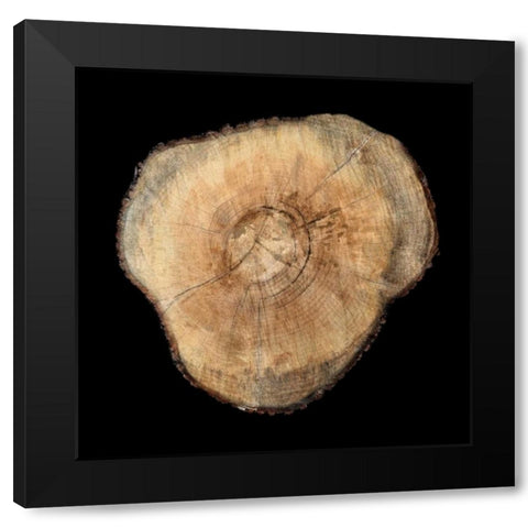 Dark Rings Of Ages 3 Black Modern Wood Framed Art Print by Lewis, Sheldon