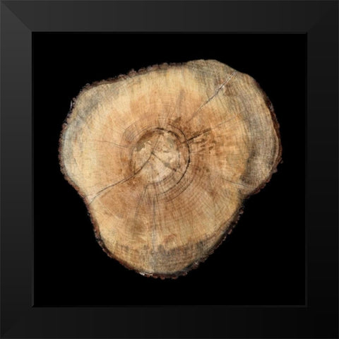 Dark Rings Of Ages 3 Black Modern Wood Framed Art Print by Lewis, Sheldon