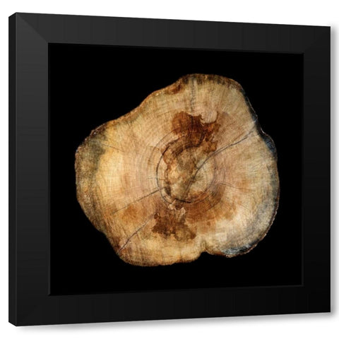 Dark Rings Of Ages 4 Black Modern Wood Framed Art Print by Lewis, Sheldon