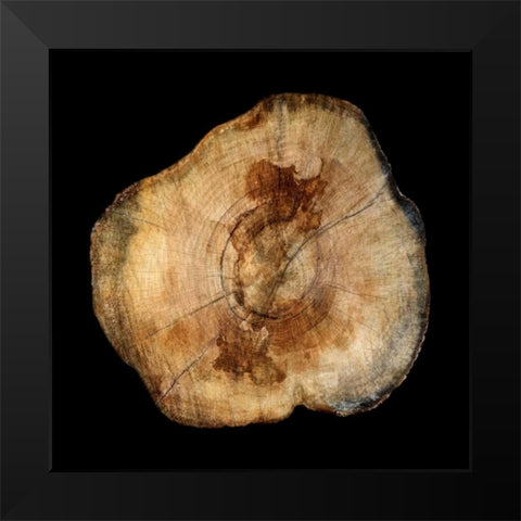 Dark Rings Of Ages 4 Black Modern Wood Framed Art Print by Lewis, Sheldon