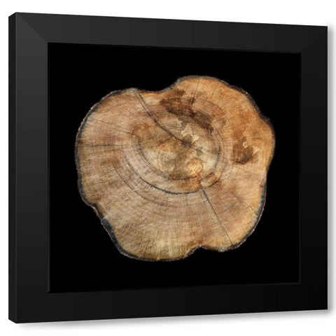 Dark Rings Of Ages 5 Black Modern Wood Framed Art Print by Lewis, Sheldon