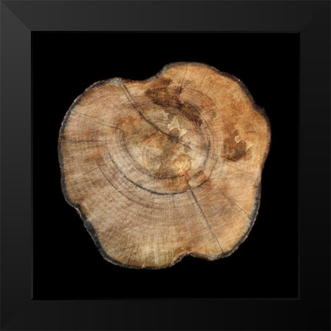 Dark Rings Of Ages 5 Black Modern Wood Framed Art Print by Lewis, Sheldon