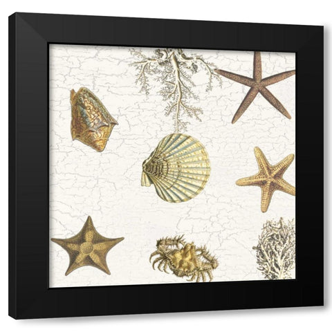 Coastal Joy Black Modern Wood Framed Art Print by Lewis, Sheldon
