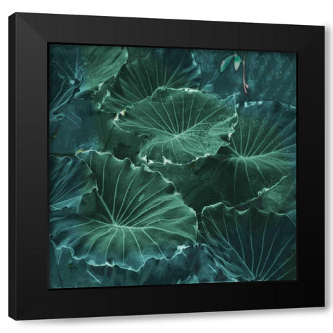Mello Tropical Black Modern Wood Framed Art Print by Lewis, Sheldon
