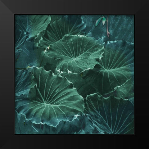 Mello Tropical Black Modern Wood Framed Art Print by Lewis, Sheldon