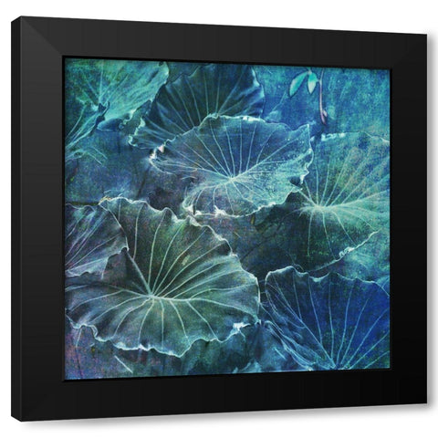 Mello Tropical 2 Black Modern Wood Framed Art Print with Double Matting by Lewis, Sheldon
