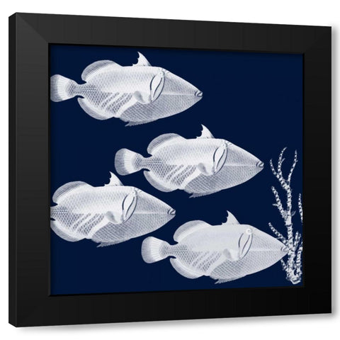 Coastal Orchestra Black Modern Wood Framed Art Print with Double Matting by Lewis, Sheldon