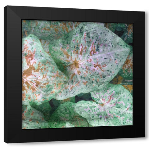 Tropical Plant 1 Black Modern Wood Framed Art Print with Double Matting by Lewis, Sheldon