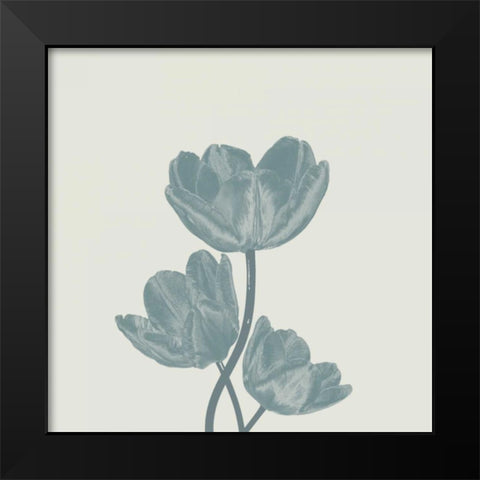 Pure 1 Black Modern Wood Framed Art Print by Lewis, Sheldon