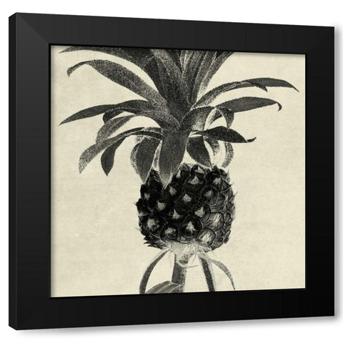 Terrarium Pine 1 Black Modern Wood Framed Art Print with Double Matting by Lewis, Sheldon