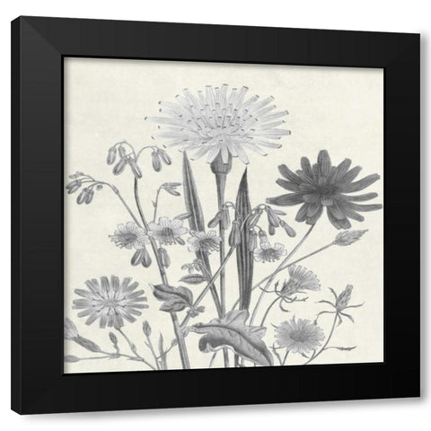Terrarium Flower Black Modern Wood Framed Art Print by Lewis, Sheldon