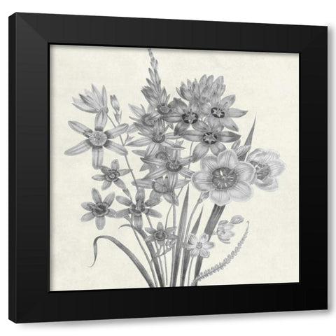 Terrarium Floral Black Modern Wood Framed Art Print with Double Matting by Lewis, Sheldon