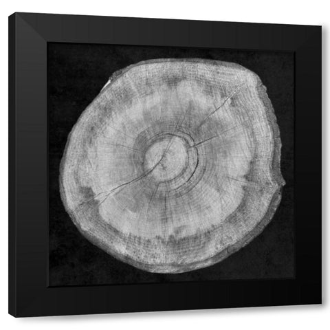Terrarium Plank Black Modern Wood Framed Art Print by Lewis, Sheldon