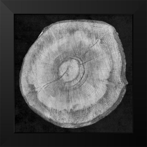 Terrarium Plank Black Modern Wood Framed Art Print by Lewis, Sheldon
