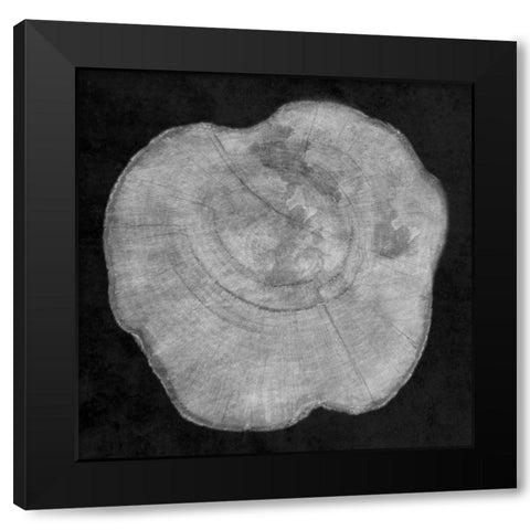 Terrarium Plank 2 Black Modern Wood Framed Art Print by Lewis, Sheldon