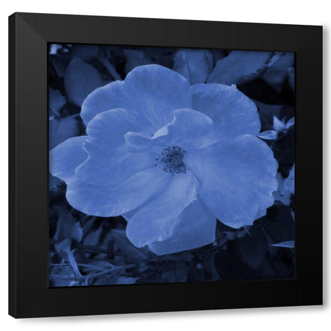 Midnight Kiss 1 Black Modern Wood Framed Art Print by Lewis, Sheldon