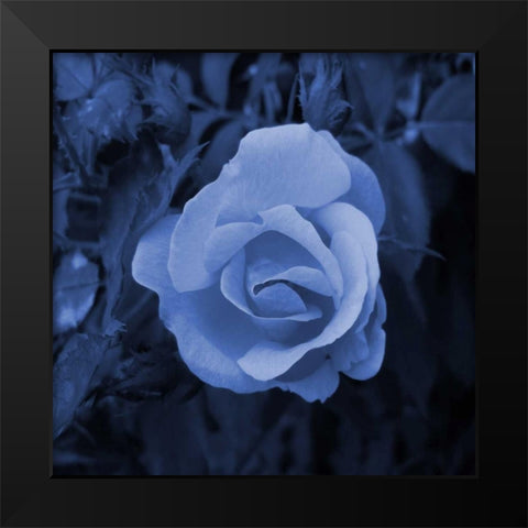 Midnight Romance Black Modern Wood Framed Art Print by Lewis, Sheldon
