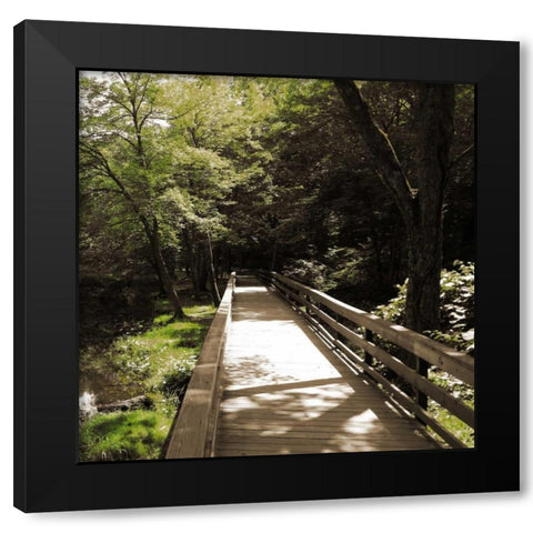 Sepia and Green 1 Black Modern Wood Framed Art Print by Lewis, Sheldon