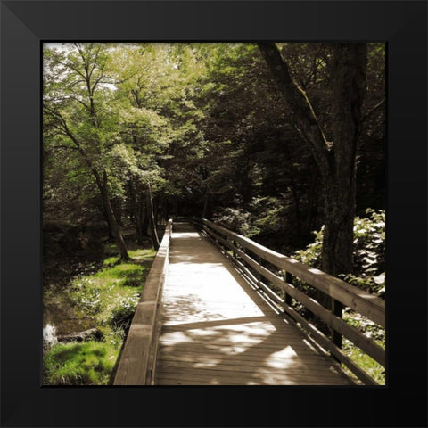 Sepia and Green 1 Black Modern Wood Framed Art Print by Lewis, Sheldon