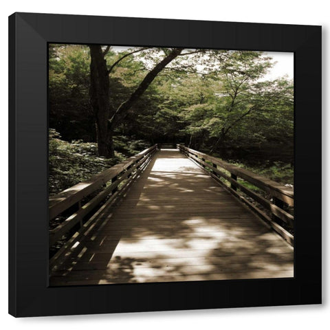 Sepia and Green 2 Black Modern Wood Framed Art Print with Double Matting by Lewis, Sheldon