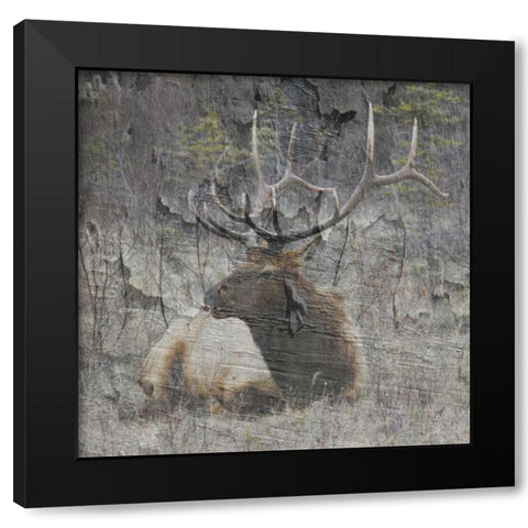 Out In The Wall Black Modern Wood Framed Art Print with Double Matting by Lewis, Sheldon