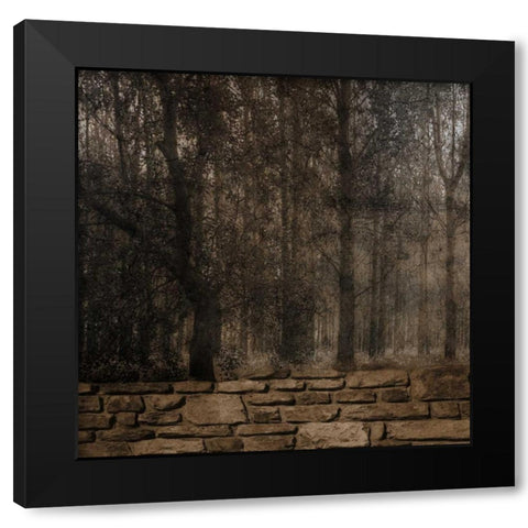 Stone Wall Landscape Black Modern Wood Framed Art Print with Double Matting by Lewis, Sheldon