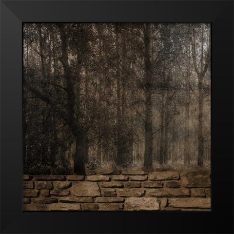Stone Wall Landscape Black Modern Wood Framed Art Print by Lewis, Sheldon