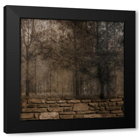 Stone Wall Landscape 2 Black Modern Wood Framed Art Print by Lewis, Sheldon