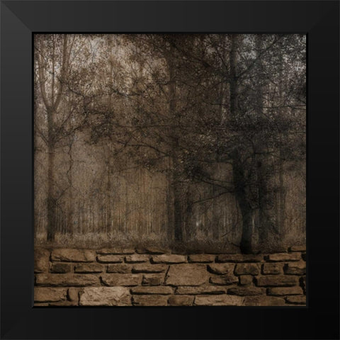 Stone Wall Landscape 2 Black Modern Wood Framed Art Print by Lewis, Sheldon