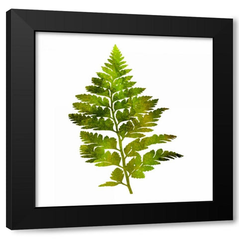 Kings Brush Black Modern Wood Framed Art Print by Lewis, Sheldon