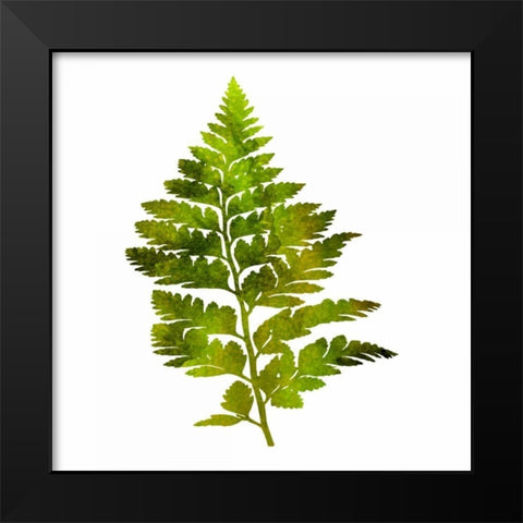 Kings Brush Black Modern Wood Framed Art Print by Lewis, Sheldon