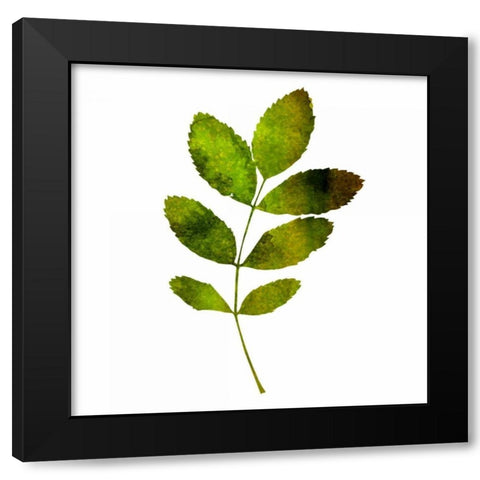 Kings Brush 3 Black Modern Wood Framed Art Print with Double Matting by Lewis, Sheldon