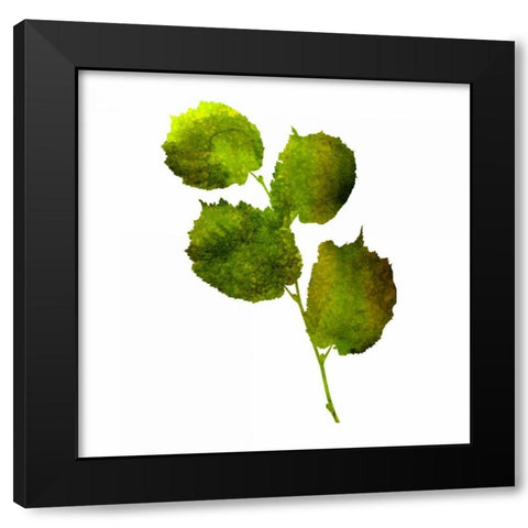 Kings Brush 4 Black Modern Wood Framed Art Print with Double Matting by Lewis, Sheldon