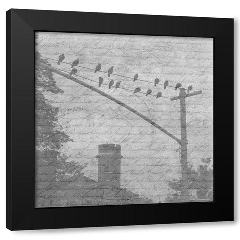Birds In The Brooklyn Sky Black Modern Wood Framed Art Print by Lewis, Sheldon
