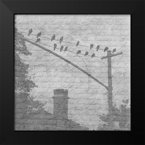 Birds In The Brooklyn Sky Black Modern Wood Framed Art Print by Lewis, Sheldon