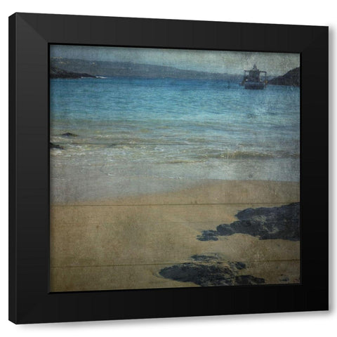 Drift Wood 2 Black Modern Wood Framed Art Print by Lewis, Sheldon