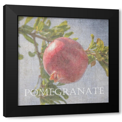 Pomegranate Black Modern Wood Framed Art Print with Double Matting by Lewis, Sheldon
