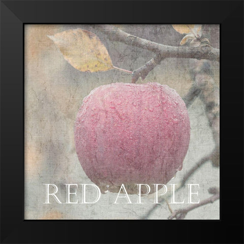 Apple Black Modern Wood Framed Art Print by Lewis, Sheldon