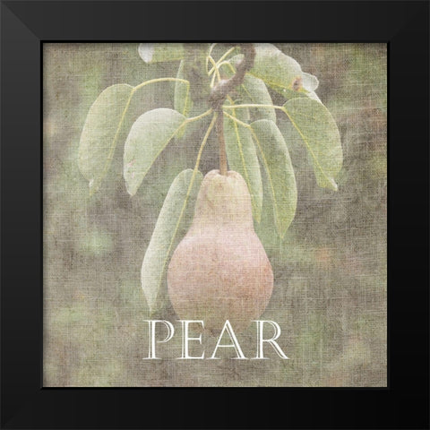 Pear Black Modern Wood Framed Art Print by Lewis, Sheldon