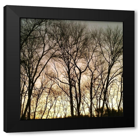 Mountain 2 Black Modern Wood Framed Art Print by Lewis, Sheldon