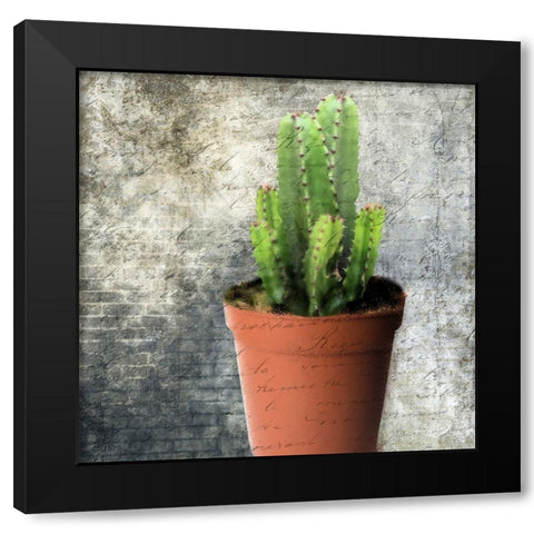 Planted 2 Black Modern Wood Framed Art Print with Double Matting by Lewis, Sheldon