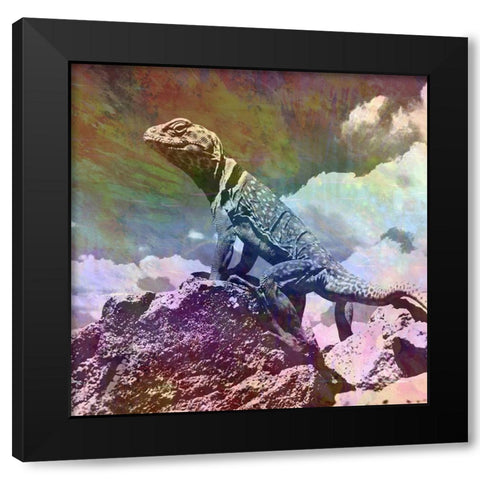 Geco King Black Modern Wood Framed Art Print with Double Matting by Lewis, Sheldon